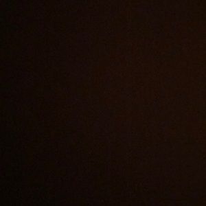 Meet your Posher, Ava